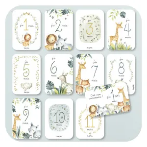 Cartes étapes BABY JUNGLE Tendance Cadeau - 1