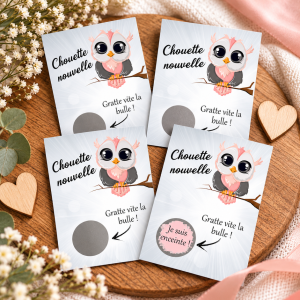Lot de 4 cartes à gratter personnalisables – Modèle chouette, avec votre message Tendance Cadeau - 1